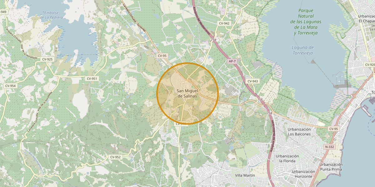 Overview map San Miguel de Salinas – Town