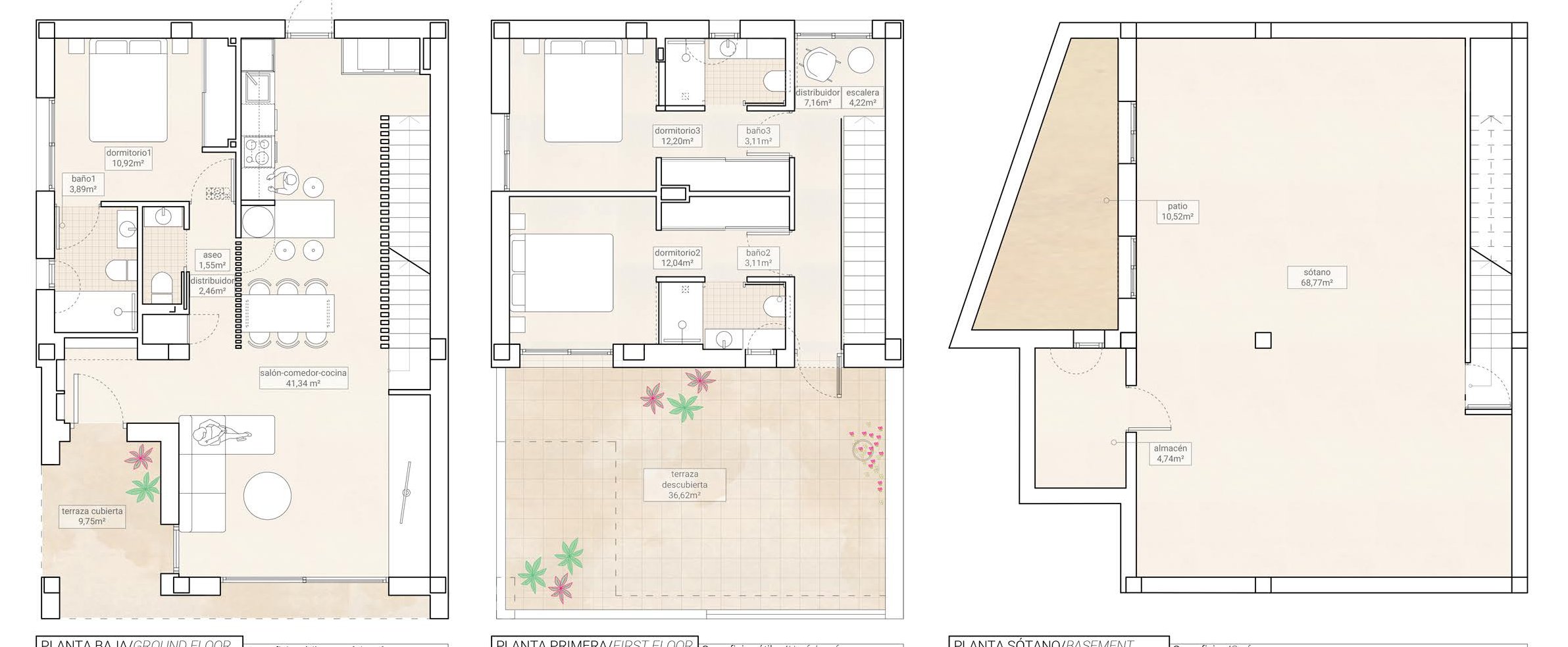 Rzut (plan dewelopera)