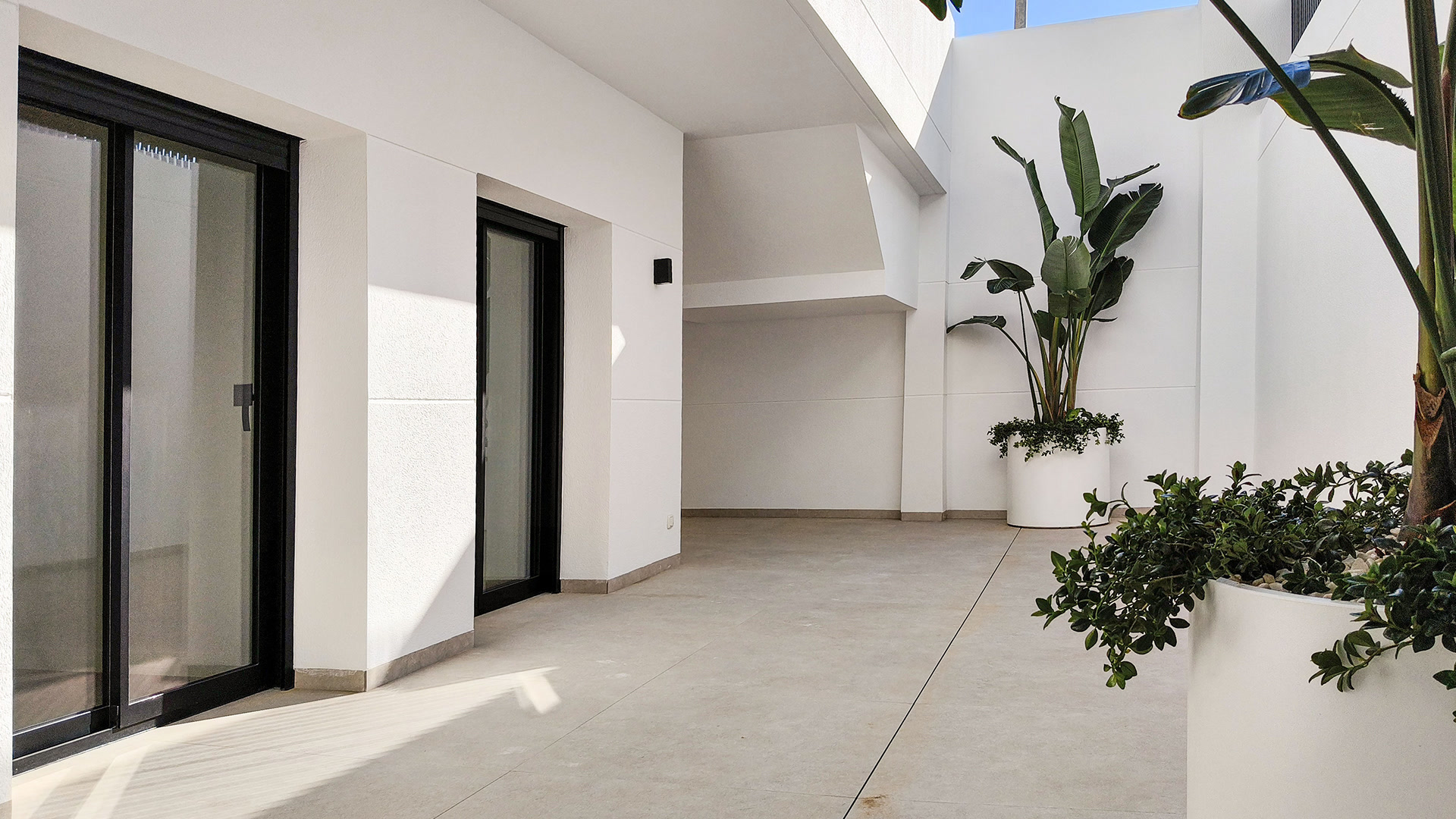 Patio with plants